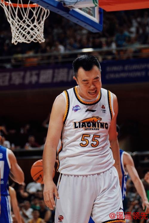 问鼎娱乐官网 韩德君23+16张镇麟22分 辽宁送北控四连败